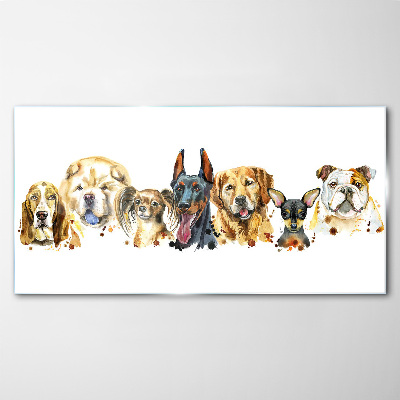 Tableau en verre Amitiés canines en couleurs