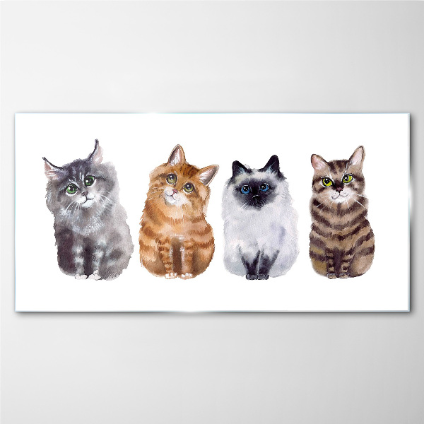 Tableau photo sur verre Des chats de différentes nuances