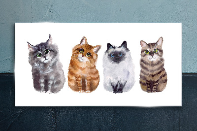 Tableau photo sur verre Des chats de différentes nuances