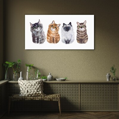 Tableau photo sur verre Des chats de différentes nuances