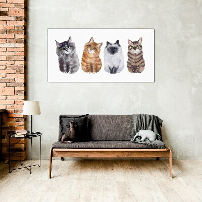 Tableau photo sur verre Des chats de différentes nuances