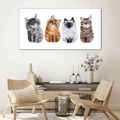 Tableau photo sur verre Des chats de différentes nuances