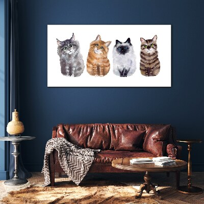 Tableau photo sur verre Des chats de différentes nuances