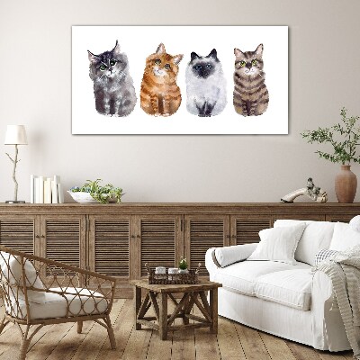 Tableau photo sur verre Des chats de différentes nuances