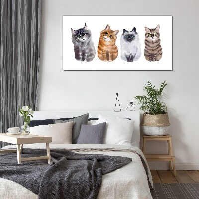 Tableau photo sur verre Des chats de différentes nuances