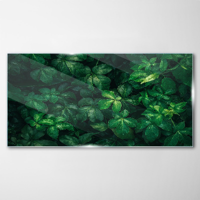 Tableau en verre Fourré vert de feuilles