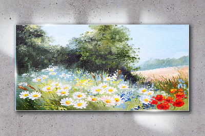 Tableau en verre Prairies d'été en pleine floraison