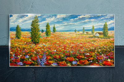 Tableau imprimé sur verre Une prairie fleurie au soleil d'été