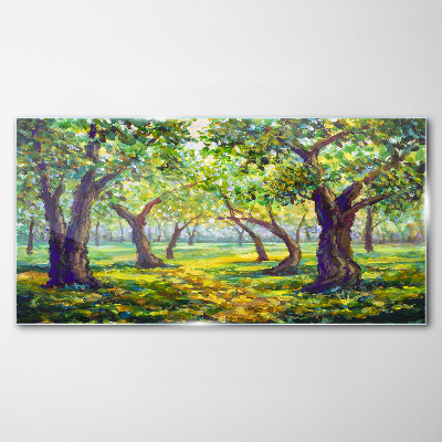 Tableau photo sur verre Un bosquet vert sous les rayons du soleil