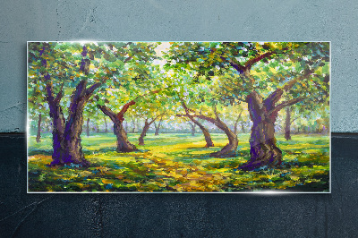 Tableau photo sur verre Un bosquet vert sous les rayons du soleil