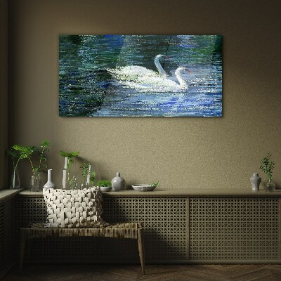 Tableau imprimé sur verre Eau calme avec des cygnes