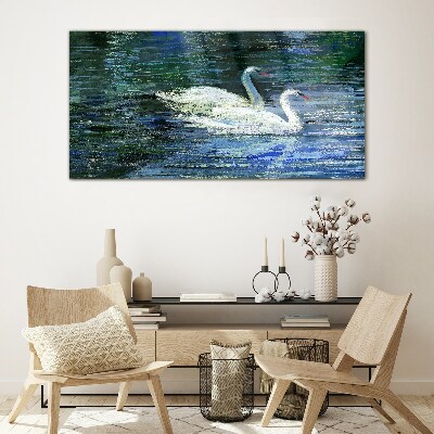 Tableau imprimé sur verre Eau calme avec des cygnes