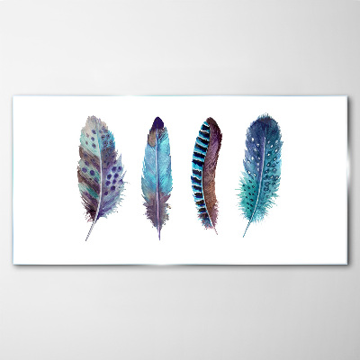 Tableau photo sur verre Plumes colorées sur fond blanc