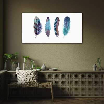 Tableau photo sur verre Plumes colorées sur fond blanc