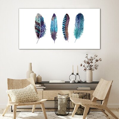 Tableau photo sur verre Plumes colorées sur fond blanc
