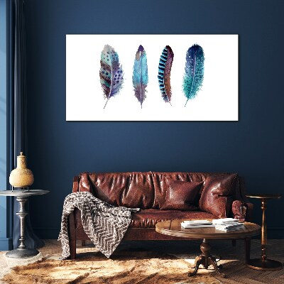 Tableau photo sur verre Plumes colorées sur fond blanc