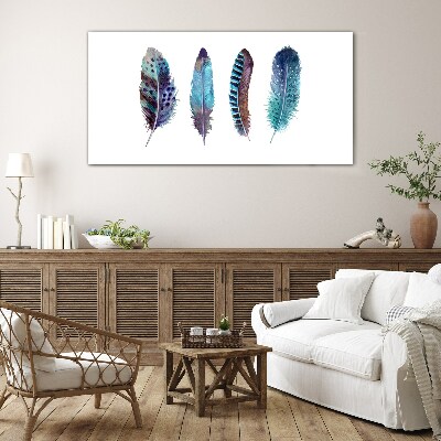 Tableau photo sur verre Plumes colorées sur fond blanc