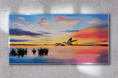 Tableau en verre Coucher de soleil sur le lac