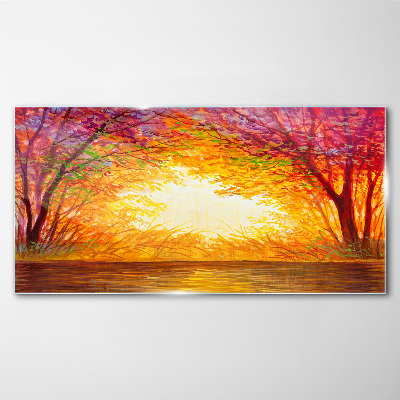 Tableau photo sur verre Coucher de soleil dans une forêt colorée
