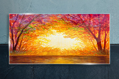 Tableau photo sur verre Coucher de soleil dans une forêt colorée