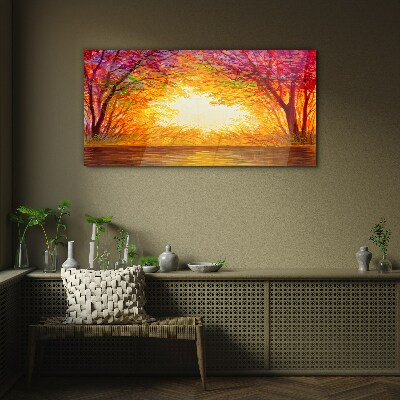 Tableau photo sur verre Coucher de soleil dans une forêt colorée