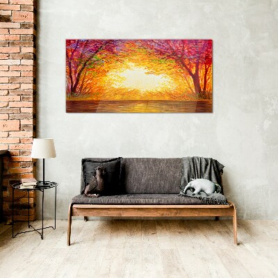 Tableau photo sur verre Coucher de soleil dans une forêt colorée