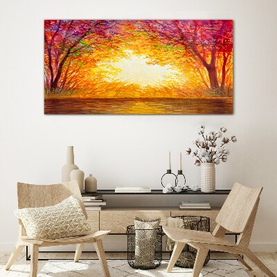 Tableau photo sur verre Coucher de soleil dans une forêt colorée