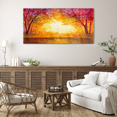 Tableau photo sur verre Coucher de soleil dans une forêt colorée