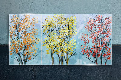 Tableau en verre Arbres d'automne en couleurs