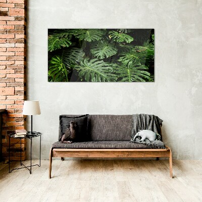 Tableau photo sur verre Feuilles de monstera tropicales