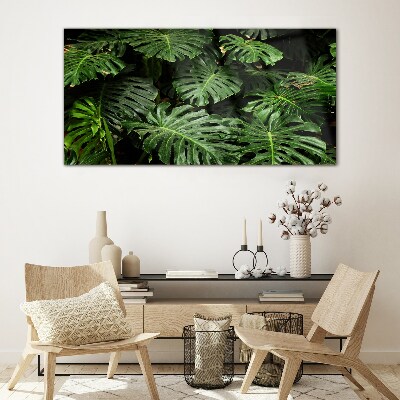 Tableau photo sur verre Feuilles de monstera tropicales