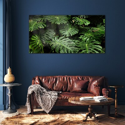 Tableau photo sur verre Feuilles de monstera tropicales