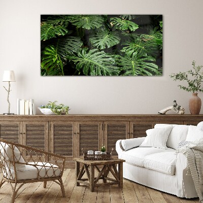 Tableau photo sur verre Feuilles de monstera tropicales