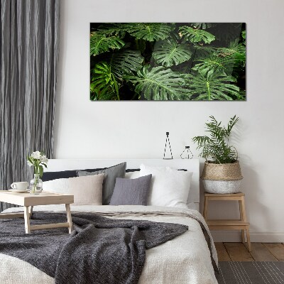Tableau photo sur verre Feuilles de monstera tropicales