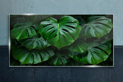 Tableau en verre Symphonie verte de feuilles de Monstera