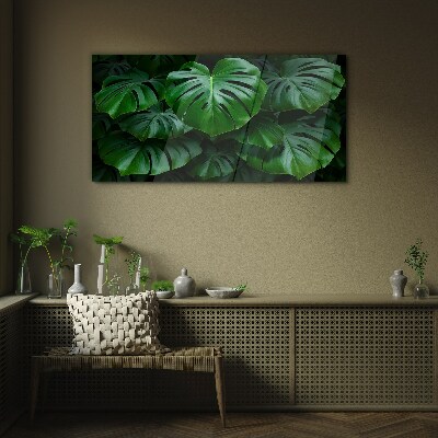 Tableau en verre Symphonie verte de feuilles de Monstera