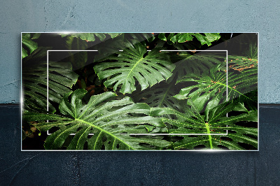 Tableau photo sur verre Jungle verte