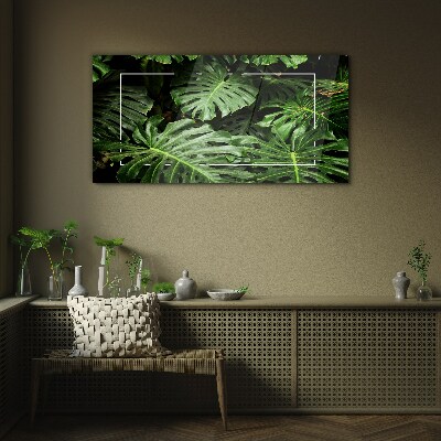 Tableau photo sur verre Jungle verte