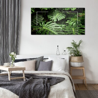 Tableau photo sur verre Jungle verte
