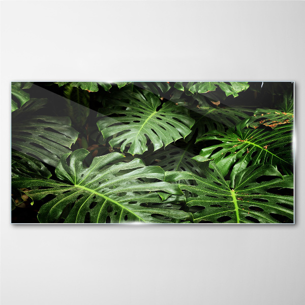 Tableau en verre Jungle verte