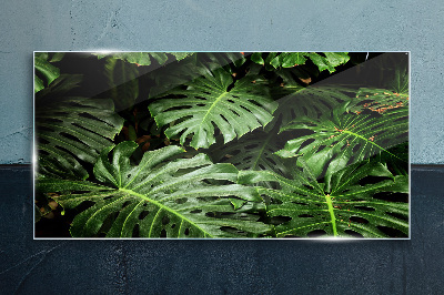 Tableau en verre Jungle verte