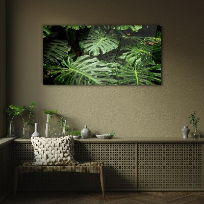 Tableau en verre Jungle verte