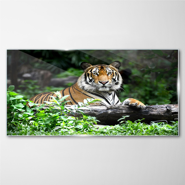 Tableau en verre Tigre dans la forêt verte