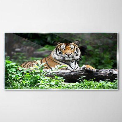 Tableau en verre Tigre dans la forêt verte