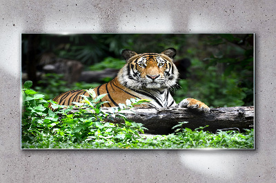 Tableau en verre Tigre dans la forêt verte