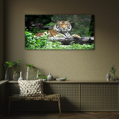 Tableau en verre Tigre dans la forêt verte
