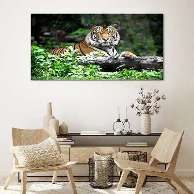 Tableau en verre Tigre dans la forêt verte