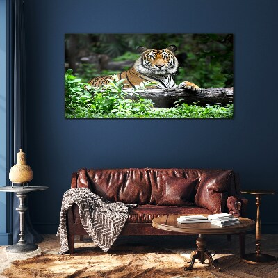 Tableau en verre Tigre dans la forêt verte