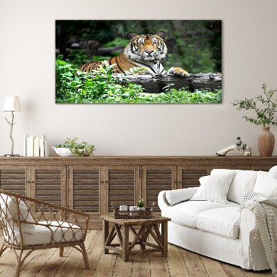 Tableau en verre Tigre dans la forêt verte