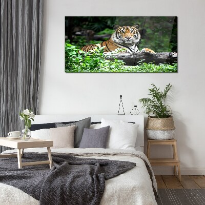 Tableau en verre Tigre dans la forêt verte